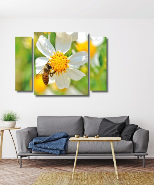 tipografia-in-veneto-eurooffset-foto-quadro Foto quadro stampe de qualità in Veneto Italia